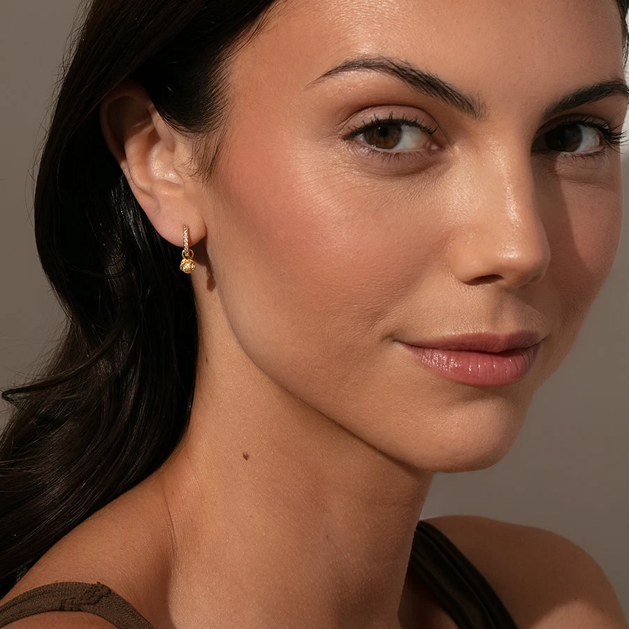 Rose Huggies 6 Rose Huggies - Image 4