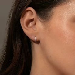 Center Stage Huggie Earrings -Uncommon James J16E CENTERSTAGECZ SS M1